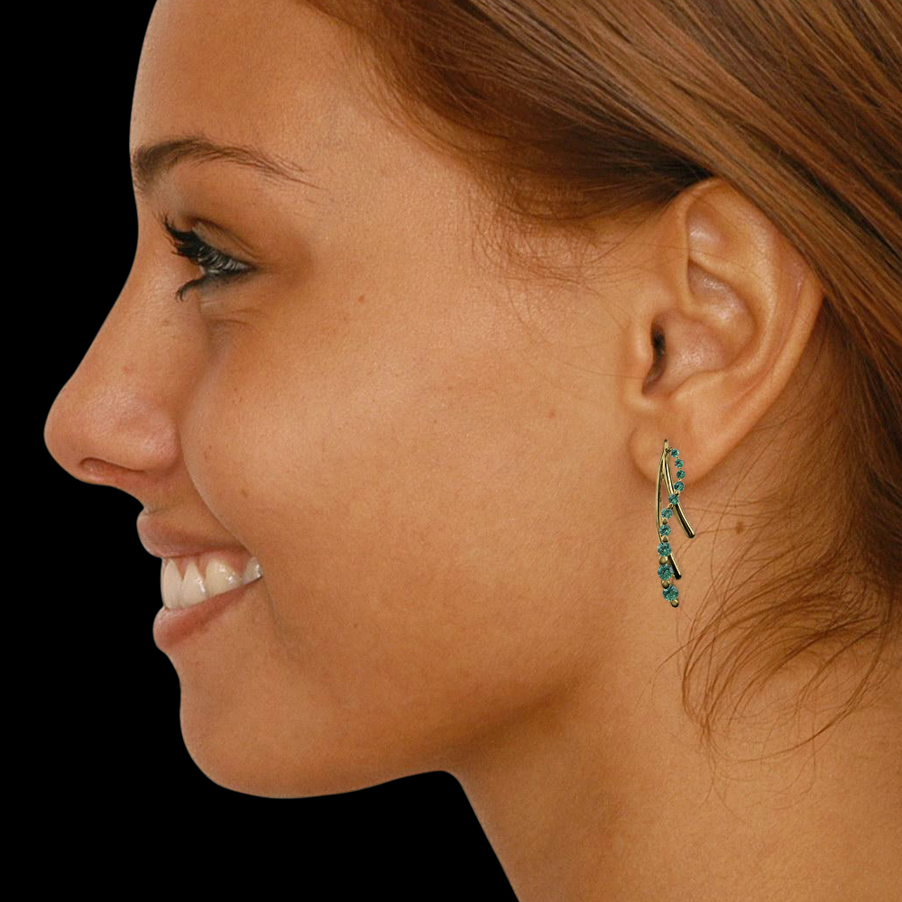 https://www.goldiam.co.il/sites/default/files/10184_ear.jpg
