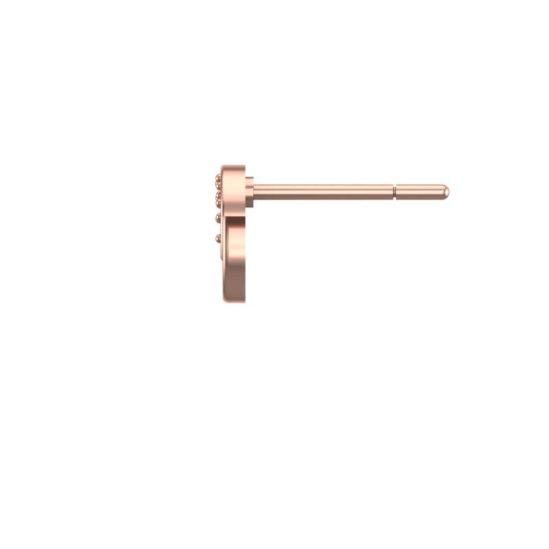https://www.goldiam.co.il/sites/default/files/14_0.jpg