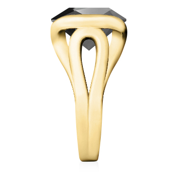 https://www.goldiam.co.il/sites/default/files/1935648-17S_yellowgold_blackdiamond.jpg