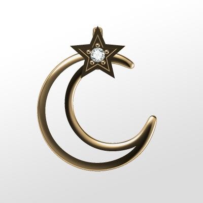 https://www.goldiam.co.il/en/sites/default/files/N30545-2G.jpg