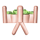 https://www.goldiam.co.il/sites/default/files/T3030F_redgold_lgr.jpg