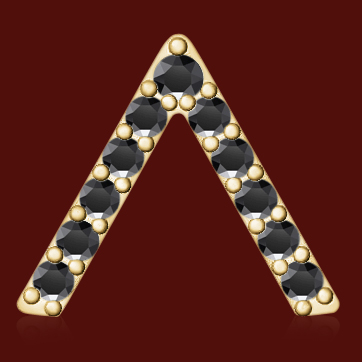 https://www.goldiam.co.il/sites/default/files/T3572T_rb.jpg