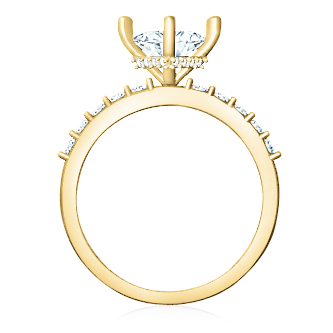 https://www.goldiam.co.il/sites/default/files/T4337F_yellowgold.jpg