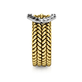https://www.goldiam.co.il/en/sites/default/files/W41271-2-3_black%2526whitediamond.jpg