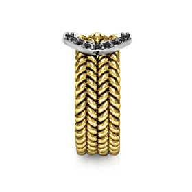 https://www.goldiam.co.il/en/sites/default/files/W41271-2-3_blackdiamond.jpg