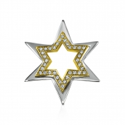 תליון מגן דוד מזהב בשני צבעים עם יהלומים